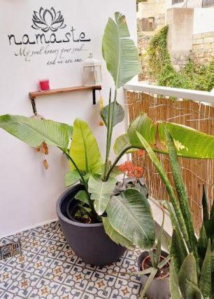 Namaste :) Enjoy Every Moment Mellieha Exterior foto